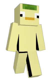 Front of SVW2's skin