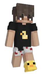 Classic Minecraft skin