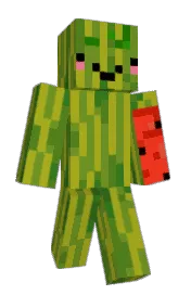 Skin preview