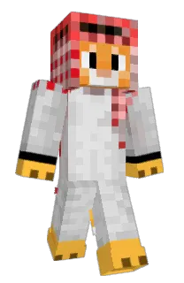 Front of FlummerDakke's skin