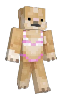 Front of jannagriffin's skin