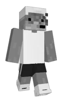 Front of Vitsss_'s skin