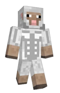 evanbun22's Minecraft skin