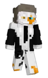 Minecraft skin — Slim model