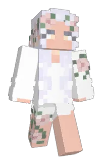 Front of Niraexy's skin