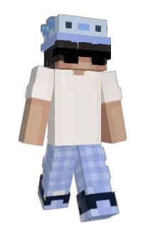 Front of Bidshy's skin