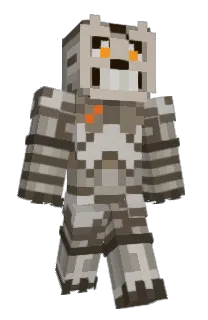 Front of njiu12's skin