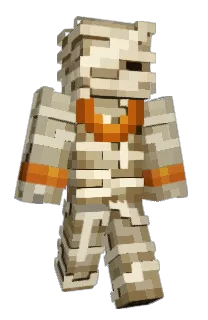 Front of Zynkode's skin