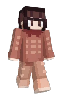 Front of wispwhip's skin