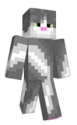 dove gray and boulder Minecraft skin — Classic model