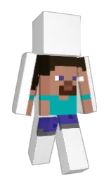 Classic Minecraft skin