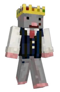 Front of SwiggyRat's skin