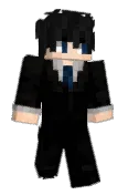 SebTint