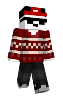 NotSakk's Minecraft skin