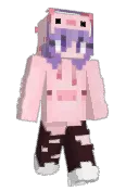 SaraChip