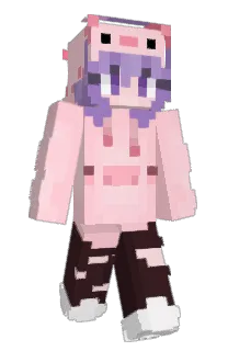 Front of SaraChip's skin