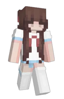 Front of CAMPTONDISSTRACK's skin