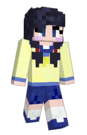 Skin preview