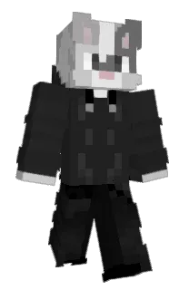 Front of Wix3338's skin