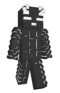 Front of iNxir's skin