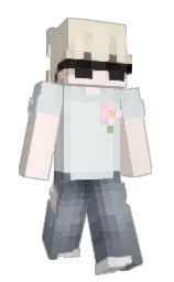 Slim Minecraft skin