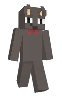wokions's Minecraft skin