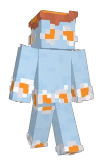 Front of F9F23's skin