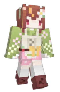 Front of Minecraft skin