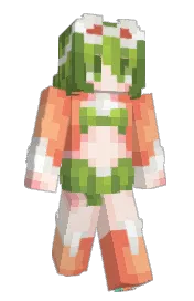 Skin preview