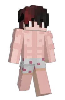 Front of ZethrusTV's skin