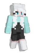 BiTurtle