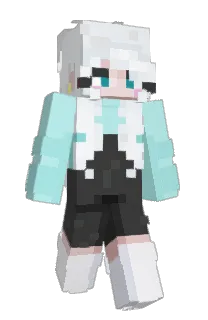 Front of BiTurtle's skin