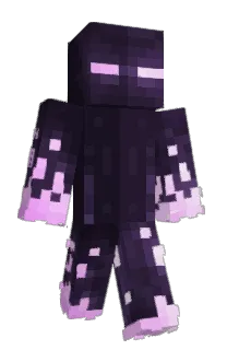 Front of DWD304's skin