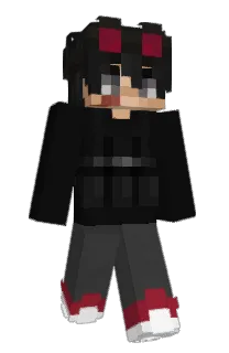 Front of hzseb's skin