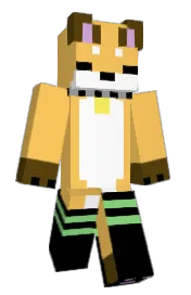 Skin preview