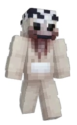 Minecraft skin — Classic model