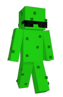 Front of TTn5's skin