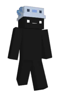 Front of wdder's skin