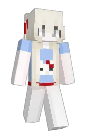 Skin preview