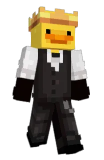 metallikala1200's Minecraft skin