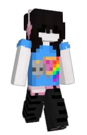 Skin preview