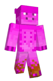 Front of micropig's skin