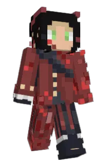 Front of Idniy's skin