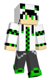 Skin preview