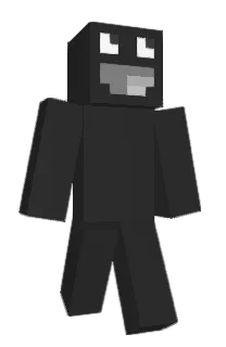 Front of wpef's skin