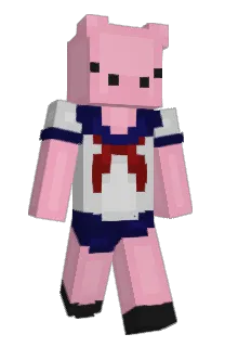 Front of Minecraft skin