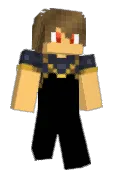 _vin1