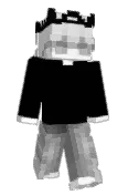 SuperNinja2036