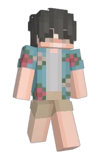 Front of Minecraft skin