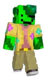 Minecraft skin — Classic model